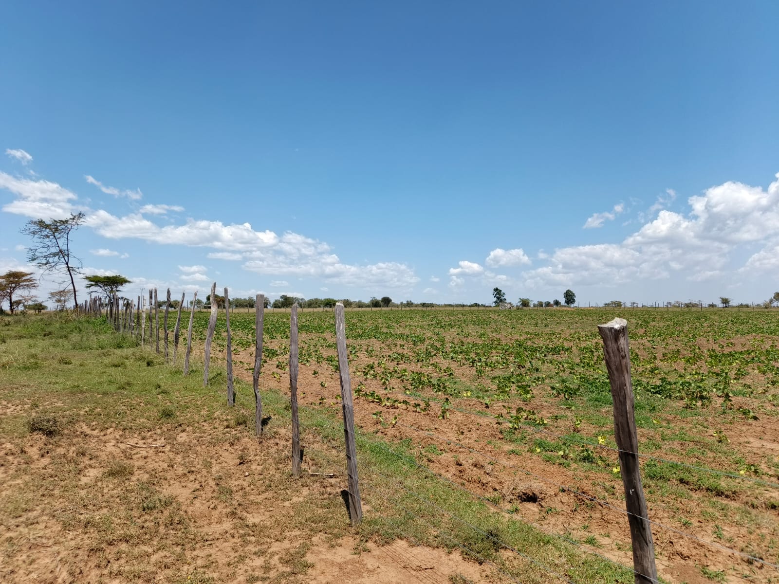 Amani Gardens Phase 2 land view Narok